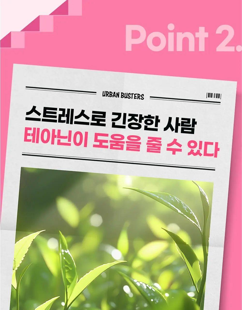 [테아닌/마그네슘] 씹어버려 스트레스 코인 (20일분) 상세페이지 11